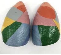 Modello di polmone umano, modello di anatomia polmonare, modello di segmento polmonare colorimetrico con texture chiara e partizione digitale etichettata e colorata, modello di polmone del sistema