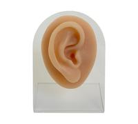 Modello di pratica anatomica facciale riutilizzabile in silicone per trapani di piercing sicuri in lezioni di medicina e laboratori di cosmetologia Modello di formazione medica realistica