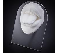 Modello di pratica dei gioielli for il corpo del naso 'orecchio in silicone 1:1 - Strumento riutilizzabile for il tono della carne(Mouth-03)