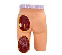 Modello di pratica dell'iniezione dei glutei, modello di insegnamento medico per esercizi di iniezione, 3 metodi di allenamento realistici per studenti di medicina e infermieri