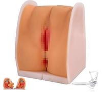 Modello di pratica IUD, strumento di formazione ginecologica della scala umana 1:1 per l'educazione medica e lo studio dell'anatomia