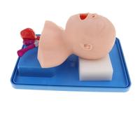 Modello Di Pratica Ripetuta Della Cannula Del Tubo Dell'aria Del Per