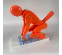 Modello di protezione della colonna vertebrale lombare, strumento dimostrativo di postura per sollevamento pesi, per l'educazione della colonna vertebrale e la correzione della postura