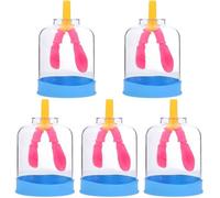 Modello Di Respirazione For La Salute Polmonare, Anatomia Umana For Esperimenti Scientifici E Dimostrazioni In olore Casuale(5Pcs)