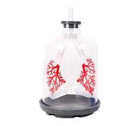 Modello di scambio polmonare umano sovradimensionato che dimostra il movimento del diaframma per l'educazione respiratoria nel modello polmonare di uso della classe