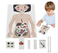 Modello di scheletro a grandezza naturale: corpo anatomico da 180 cm, supporto rotabile incluso, copertura antipolvere per poster, anatomia medica, kit di insegnamento in classe | Strumento