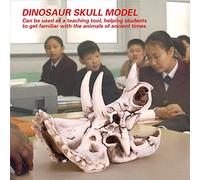 Modello di Scheletro di Dinosauro, Dinosauro 6.69 * 3.54 * 4.92in con Design Squisito Bone di per Istruzione e Decorazione