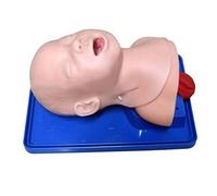 Modello Di Scheletro Modello Per Neonati Intubazione Orale Nasale Vie Aeree, Manichino Anatomico Studio Modello In Pvc Macchina Dimostrativa Formazione Vie Aeree Infermieri Pratica Modello Didattico