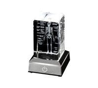 Modello di scheletro umano Anatomia Regalo Modello di scheletro di cristallo