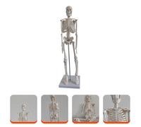 Modello Di Scheletro Umano Medico Corpo Modellino Anatomia Strumenti Didattici