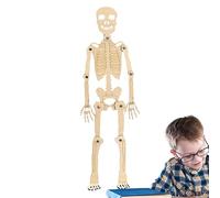 Modello di Scheletro Umano per Studio - Educativo,Scheletro Anatomico,Modello Giocattolo Educativo 30 cm da Montare per Bambini Studenti Studio Scienza Insegnamento Decorazione Classe Halloween
