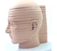 Modello di sezione trasversale della testa e del cervello umano, composto da 12 parti smontabili, modello cerebrale per l'apprendimento dell'imaging radiologico A