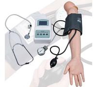 Modello di simulatore di braccio for allenamento della pressione sanguigna con display LCD e suono del gap di Korotkoff, modelli di pratica arteriosa regolabili educativi