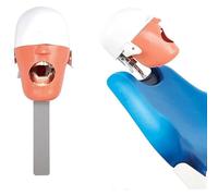 Modello di simulazione dentale Modello didattico Modello a grandezza naturale Sistema didattico orale dentale simulato A
