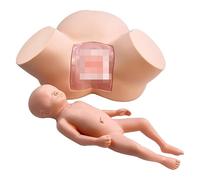 Modello Di Simulazione For La Formazione In Ostetricia, Manichino Dimostrativo For Il Parto Femminile, Manichino Pelvico Femminile For La Pratica Didattica