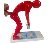 Modello di sollevamento corretto del corpo umano, sollevamento pesi della colonna vertebrale umana e del disco intervertebrale lombare, modelli didattici for la protezione della colonna lombare.