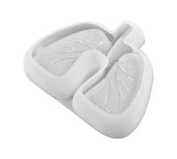 Modello di Stampaggio per Polmoni per Posacenere - Stampi A formaa di Polmone, Stampi Anatomici per Polmoni | Stampi per Posacenere in Silicone, Stampi Fai da Te in Resina Siliconica per Colata di