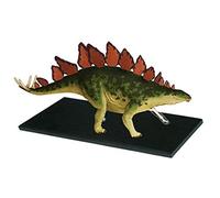 Modello di stegosauro staccabile, 39 pezzi, strumento educativo per | Modello educativo staccabile di stegosauro, giocattolo anatomico del dinosauro da 39 pezzi per l'apprendimento pratico in