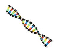 Modello di - Struttura a doppia | Giocattolo educativo Scienza Biologia | Dee Kit di assemblaggio molecolare per bambini, decorazione 'aula, materiale didattico in ABS 40x5,7x1 cm