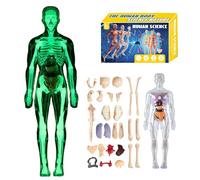 Modello di struttura del corpo umano trasparente, kit anatomico 3D da 29 pezzi con organi e ossa rimovibili, modello di organo del busto umano assemblato fai da te per l'apprendimento dell'anatomia