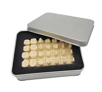 Modello di studio dentale, modello dentale 1,2 volte con modello base, 28 analisi standard della forma dei denti isolati, comunicazione medico-paziente, modello di insegnamento scientifico