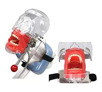 Modello di testa di manichino per simulatore dentale orale Modello di testa di manichino per dentisti e assistenti dentali Dimostrazione pratica A