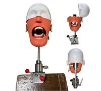 Modello Di Testa Di Phantom Dentale, Simulatore Dentale Phantom Head Training Per Dentisti Assistenti Dentali Pratica Dentista Insegnamento Modello Di Pratica, Con Montaggio Su Banco,Sicuro E Inodore