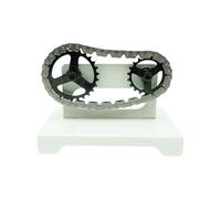 Modello di trasmissione meccanica della trasmissione a cinghia di precisione per l'istruzione della fisica che dimostra i principi della trasmissione a catena della cinghia Attrezzatura didattica