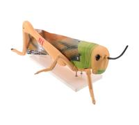 Modello Didattico Cavalletta Anatomico in Pvc, Struttura Smontabile | Aula di Scienze e Scuole, Osservazione Multangolo, Rappresentazione Accurata, Studenti e Docenti