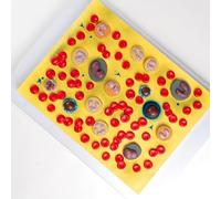 Modello didattico delle cellule del sangue umano | Globuli rossi e globuli bianchi,Modello di cellule del sangue, modello didattico delle cellule del sangue
