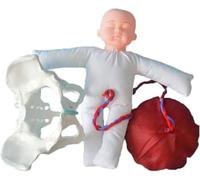 Modello didattico for il parto ostetrico con bacino | Simulatore di addestramento al parto ostetrico, bambola del feto, cordone ombelicale e placenta for la formazione degli