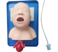 Modello didattico, manichino per intubazione pediatrica in Materiale PVC, Modello avanzato per intubazione tracheale, Modello didattico per Lo Studio del manichino tracheale per ba