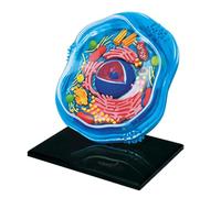 Modello didattico Modello di cellula animale 4D staccabile Modello anatomico di sezione trasversale Modello di assemblaggio di puzzle Modelli didattici di biologia delle cellule animali