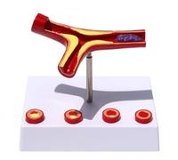 Modello didattico Modello di vaso arterioso Modello di anatomia di patologia medica Arterie bloccate Sclerosi delle arterie cardiovascolari for uffici e aule Risorse di apprendimento medico