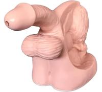 Modello Dimostrativo di Cateterismo, Cateterismo Uretrale, Modello Didattico del Manichino, Modello di Organo Riproduttivo Interno Ed Esterno Maschile Insegnamento della Struttura del Siste