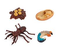 Modello Dinsecte giocattolo Insetti 3D modelli realistici Bambini modello Animale in Plastica Bambini Adi pedagogici Bambini biologia Scienza per bambini dai 5 ai 12 anni (Legno)