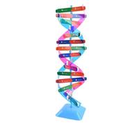 Modello Doppia Elica DNA Esperimenti Biologia Della Struttura Molecolare | Materiali For Esperimenti Di Scienze Fisiche, Set Di Puzzle Divertenti For Studenti, Kit Di Progetti For Fiere Di Scienze