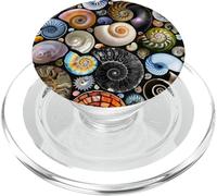 Modello estetico dell'oceano estivo delle conchiglie del mare PopSockets PopGrip per MagSafe