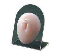 Modello flessibile in silicone della parte del corpo umano for lo studio scientifico, la pratica dei tatuaggi e l'esposizione di gioielli(With stand)