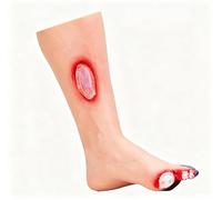 Modello for la cura del piede e delle gambe diabetici, modello di anatomia del piede umano, modelli di addestramento medico avanzato dei piedi diabetici, for aule di infermieristica medica