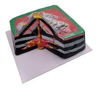 Modello Geografia Insegnamento Modello Vulcano Eruzione Dimostrazione Sussidi Didattici 3D Tettonica a Placche Modello per La Scuola Classe di Geologia per insegnare