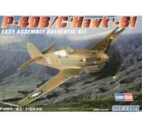 Modello in plastica P-40 HAWK