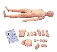 Modello Maschile di Formazione Modello traumatologico Modello anatomico Umano Dimostrativo Modello di Cura del paziente Femminile Presso la Scuola per Infermieri