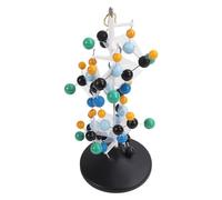 Modello molecolare proteico Qh3212 2 Modello di visualizzazione della struttura 3D Strumento didattico dai colori vivaci facile da montare per l'uso in studio di laboratorio
