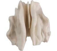 Modello osseo etmoidale umano, replica anatomica dell'osso etmoidale | Mini modello didattico di anatomia dell'osso del cranio in PVC, for studenti di medicina, ORL, infermieristica