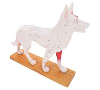 Modello per Cani in Pvc per Insegnamento di Agopuntura | Modello Anatomico del Cane, Facile da Pulire, Riferimento per Tecniche Veterinarie, per Docenti e Studenti