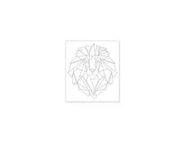 Modello per murales, Stencil for pittura murale for piastrelle disegni geometrici del leone da 40x46 a 80x91 cm(S 40cmX46cm - A)