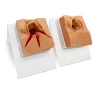 Modello per sutura perineale - Modello per esercitazioni di riparazione perineale, stampi per suture chirurgiche vulvari, simulatore di lacerazione vaginale per formazione ostetrica.