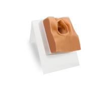 Modello per sutura perineale - Modello per esercitazioni di riparazione perineale, stampi per suture chirurgiche vulvari, simulatore di lacerazione vaginale per formazione ostetrica.