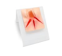 Modello per Sutura Perineale - Modello per Pratica di Riparazione Perineale, Stampo per Suture Chirurgiche Vulvari, Modello per Sutura di Lacerazioni Vaginali per Addestramento Ostetrico.